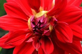 �������ز�