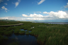 �����ǻ�������