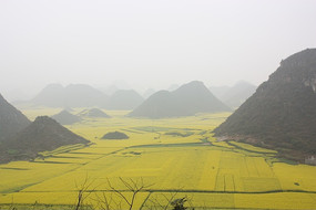 ��Ƭ���˵�