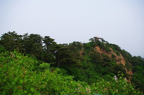 ɽ������ͤ