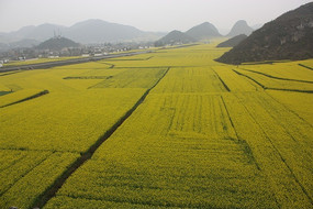 ɽ�����Ͳ˻�