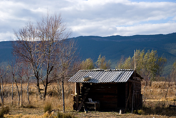 ���к�����