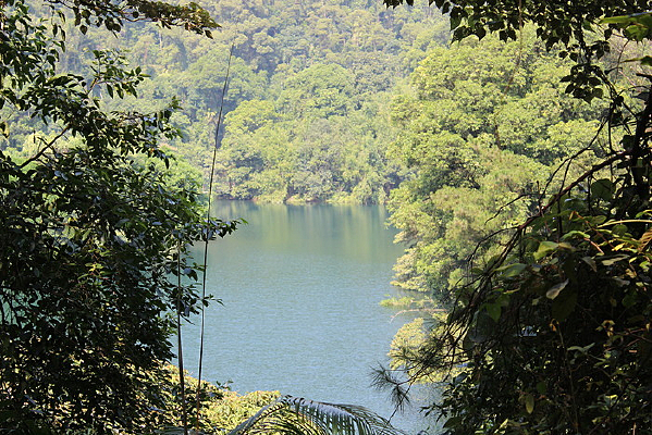 ����ɽ��