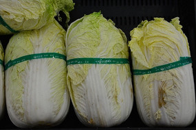 �����ײ�