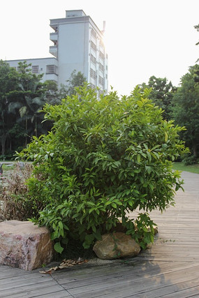 ��ԧ������