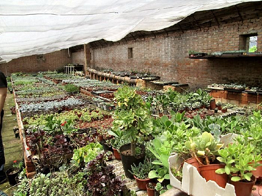 �������