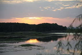 ����С��