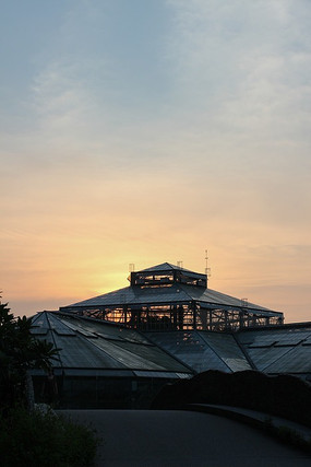 �����µ�ֲ��