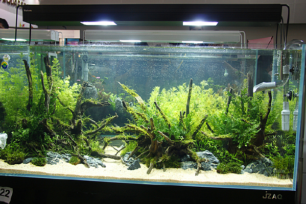 ��������쾰