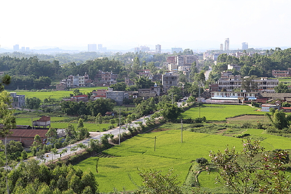 ��԰����