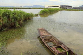 ����С��