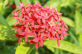 һ�������