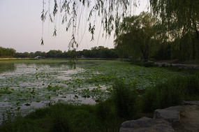 �������ع�԰