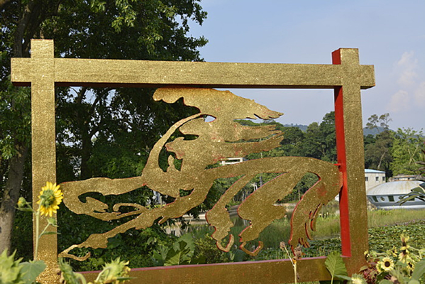 ��ɫ������