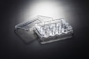 ʵ��������