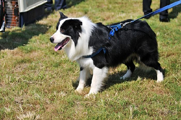 �߾�����Ȯ