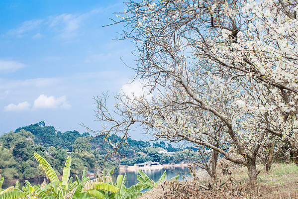 �������ӻ���