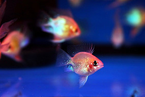 �������������