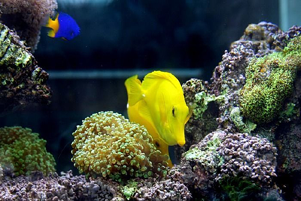 �������Ⱥ����ɺ��