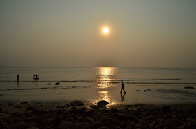 ��̲�ϵ���