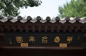 ͤ��������