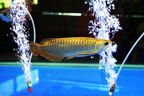 �������