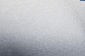 ������˿����