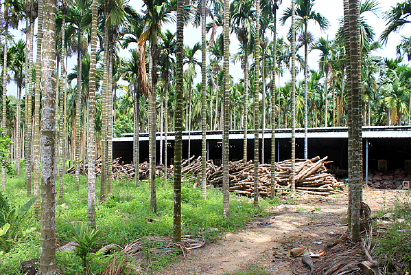 �ӹ��е�ľ��