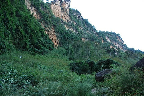 ԭʼɽ��Ͽ��