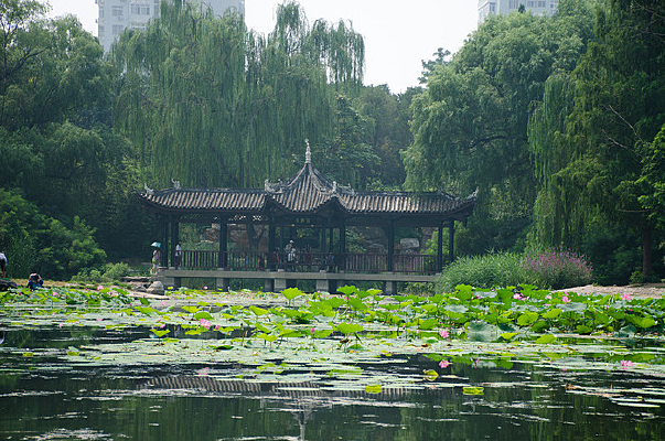 �����е�ͤ��