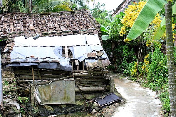 �ƾ�С����