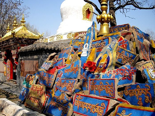 ���������