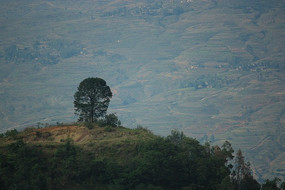 ��ɽ����