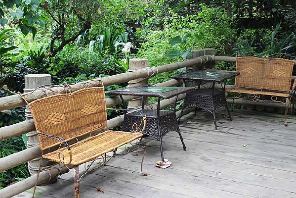 ����ֲ��԰һ��