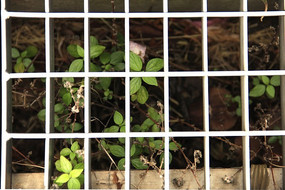 դ������