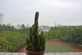 ��̨������