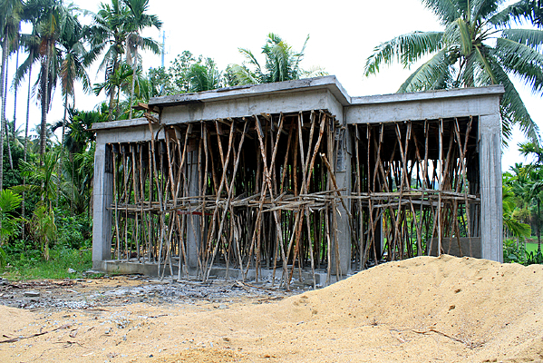 ����ڽ�������