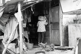 �¹���������