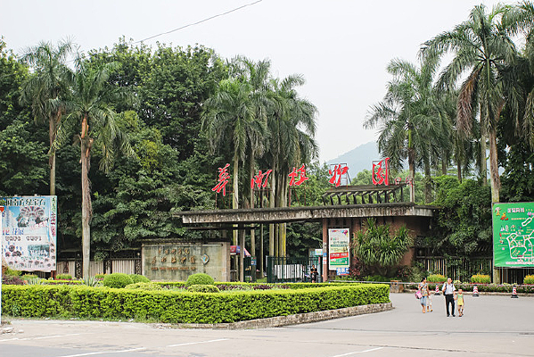 ����ֲ��԰����