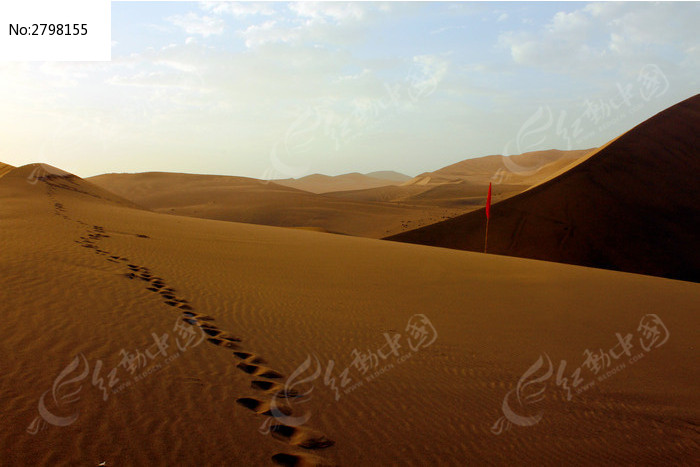 沙漠中的一行脚印