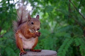 ����Լ��