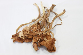 �ɲ�����