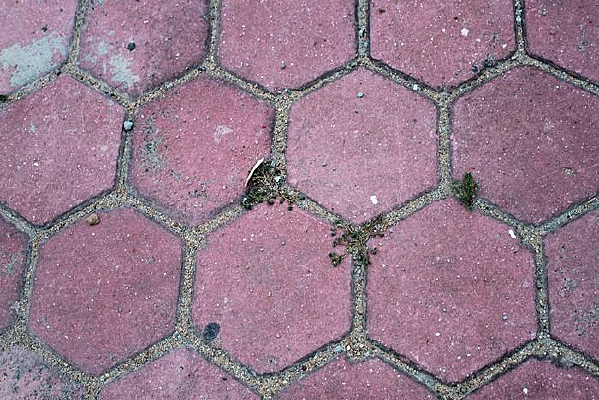 �����κ�ש