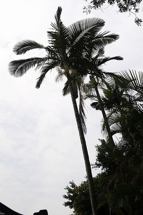 ����Ҭ����