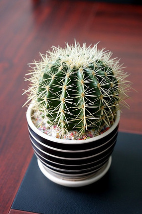 ����ֲ��������