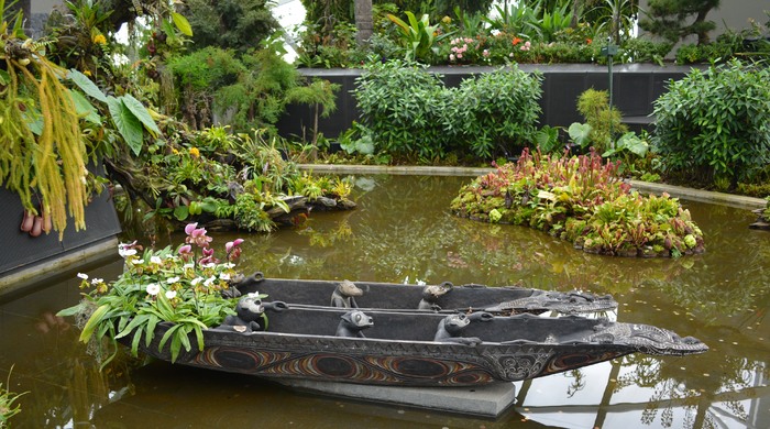 ����ˮ�ϵ�ֲ��