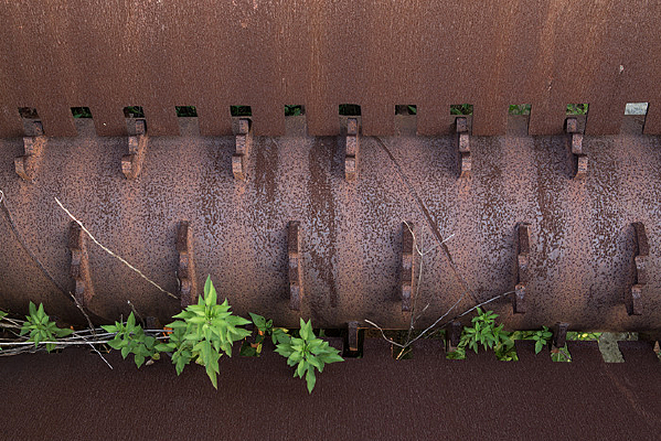 �����Ļ���