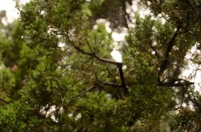 ֩������֦