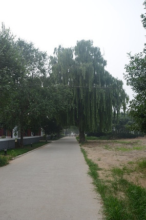 ������·