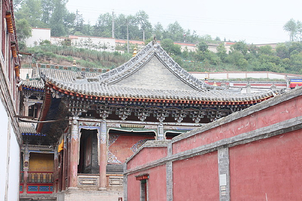 Զ������